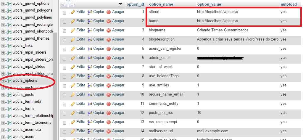 Como mover um site WordPress - tabela options